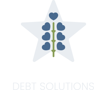 Bluebonnet Debt Solutions